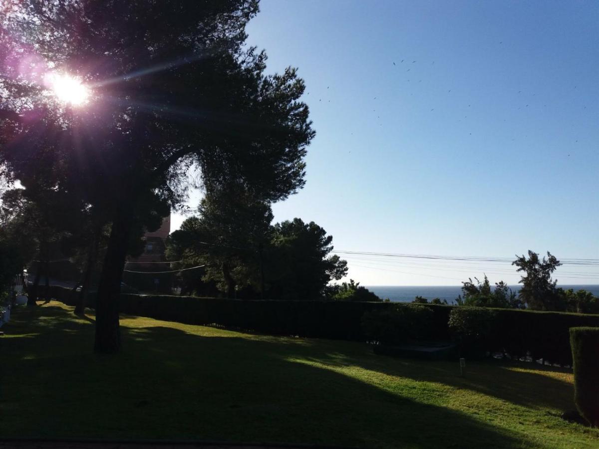 Bermeja De La Virgen Estepona